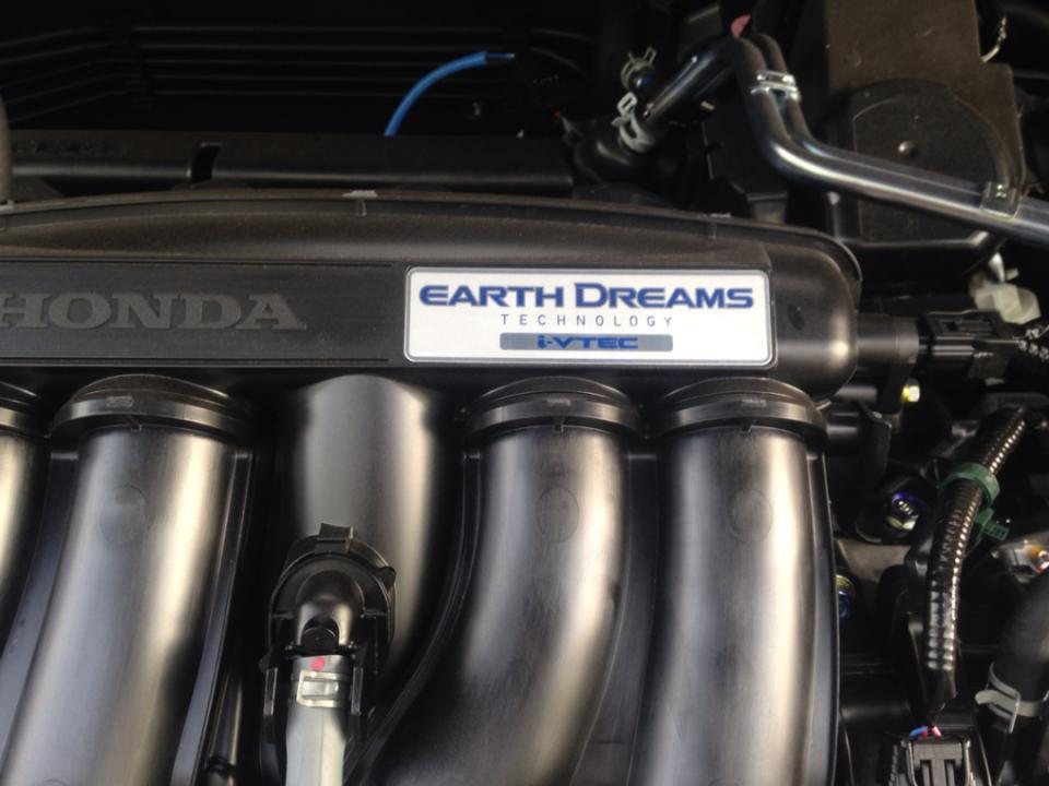 毛孩不听话该怎么办,毛孩子调皮不听话