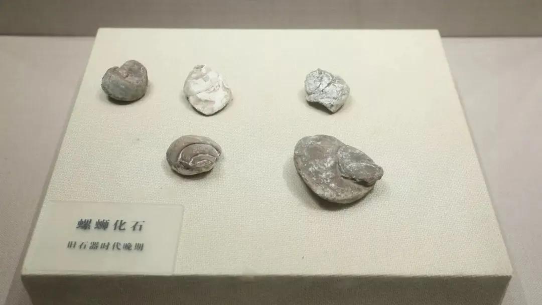 广西哪种螺蛳粉比较好吃,吃过不容错过的广西正宗螺蛳粉