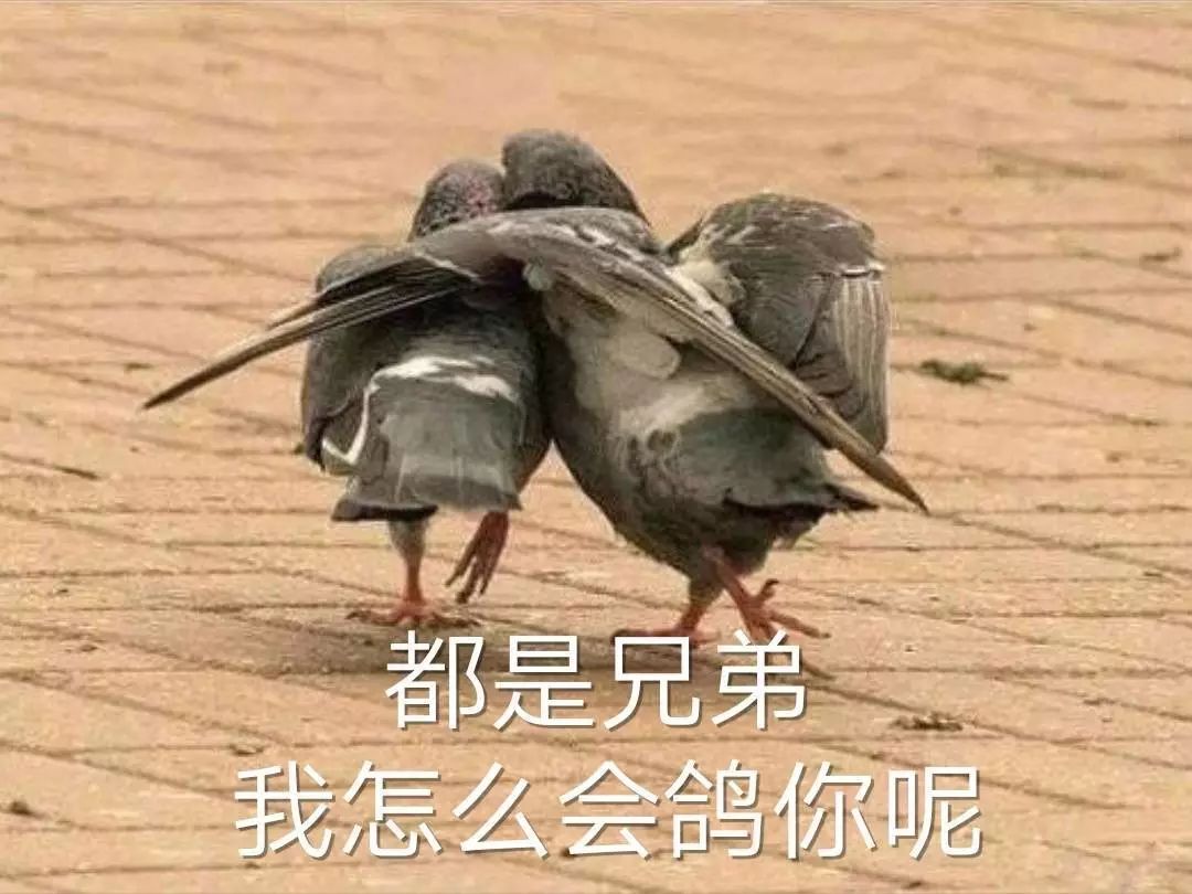 论00后的辞职信,00后扎心辞职信