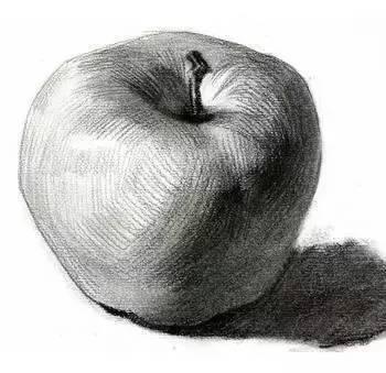 素描不会画实物怎么办,素描静物不会深入刻画