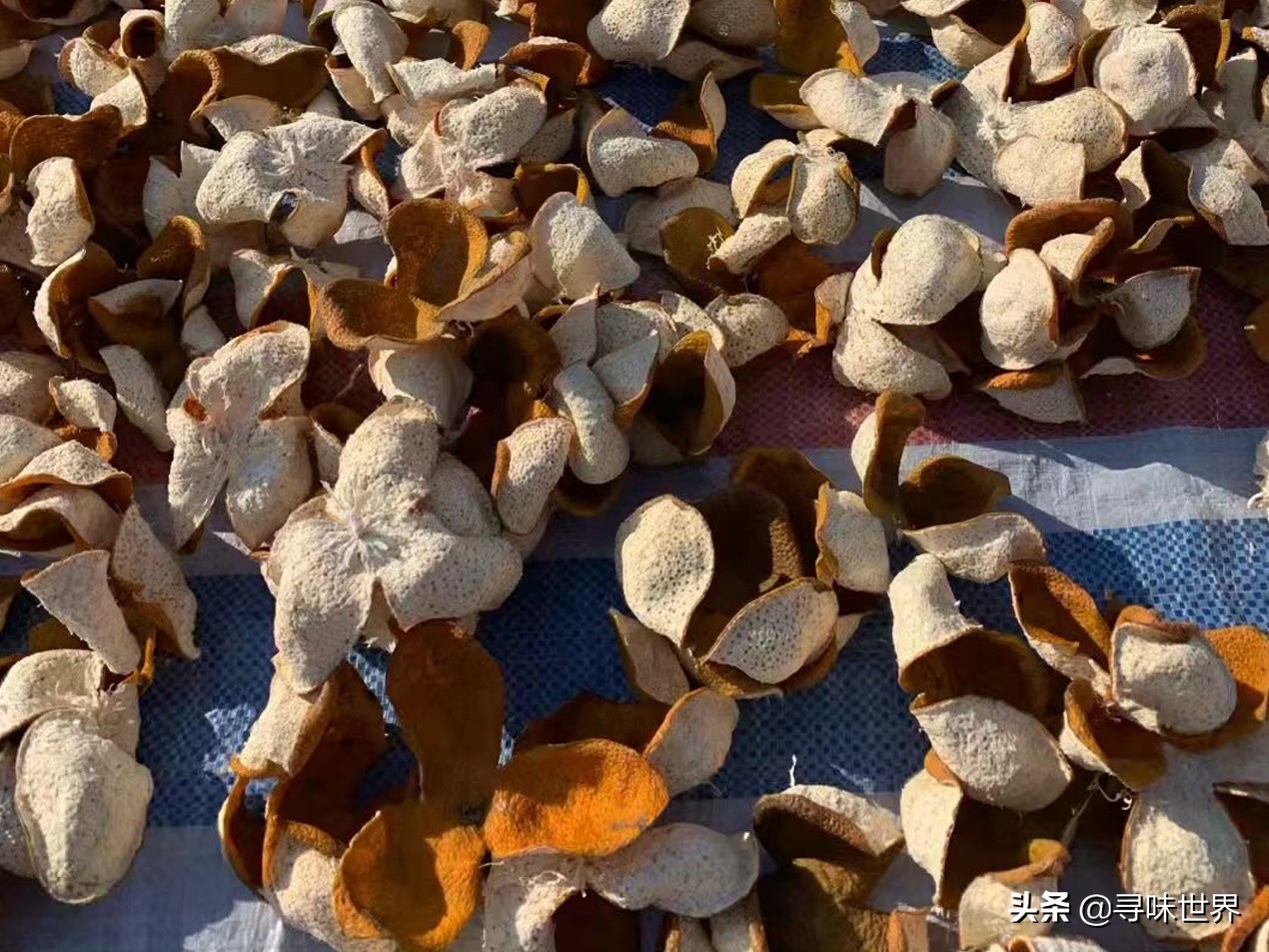 翻晒陈皮最佳方法,陈皮怎样蒸晒好