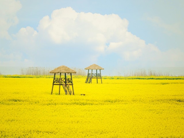 哑女喜欢一个人的表现,哑女对爱情的执着