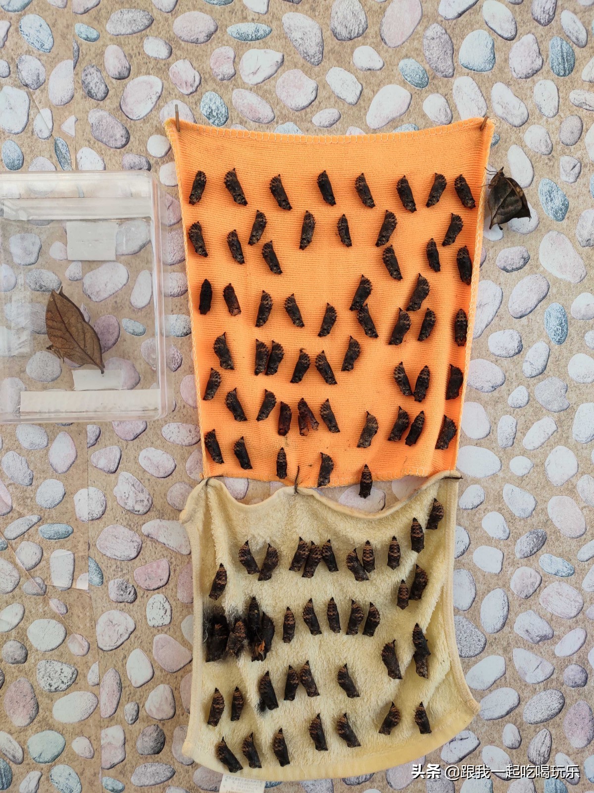 沈阳热高乐园丛林欢乐世界,沈阳丛林欢乐世界