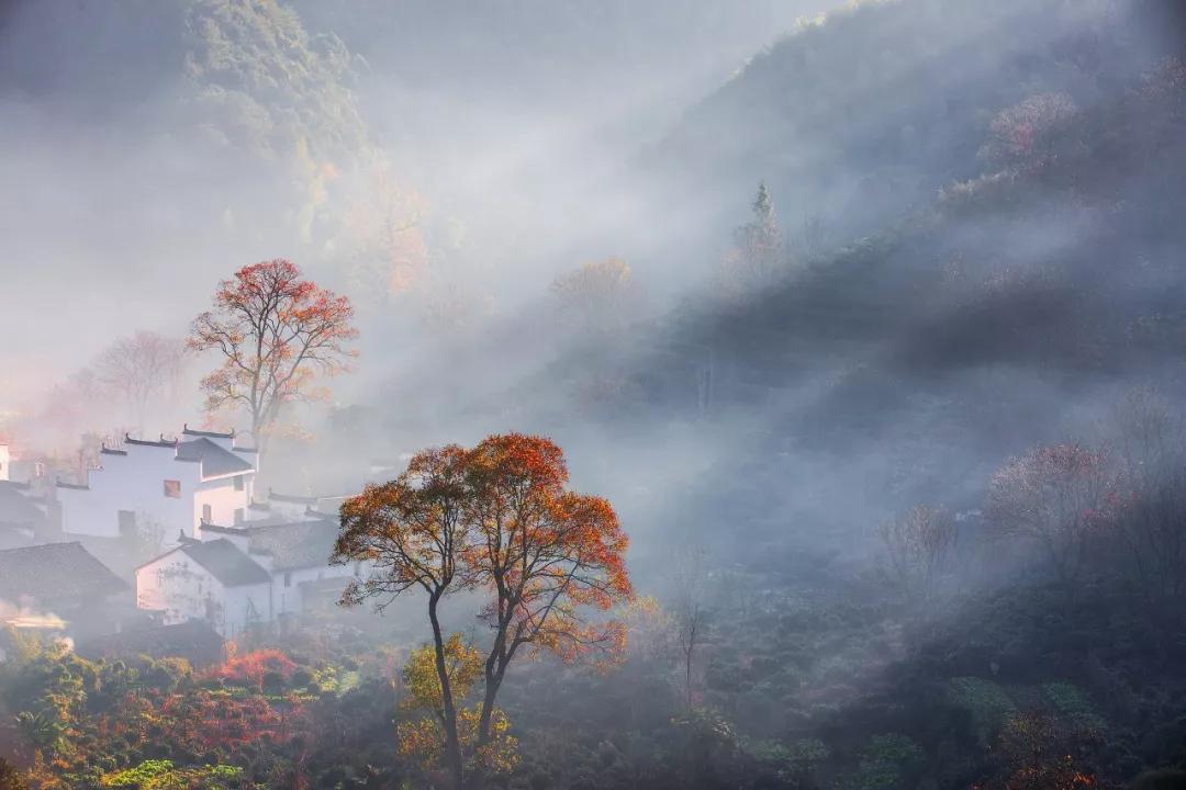 世态炎凉8首诗,看透了人情冷暖世态炎凉的诗句