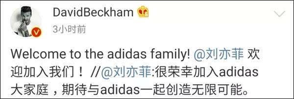 Adidas刚宣布新代言人是刘亦菲，店就被香港暴徒砸了