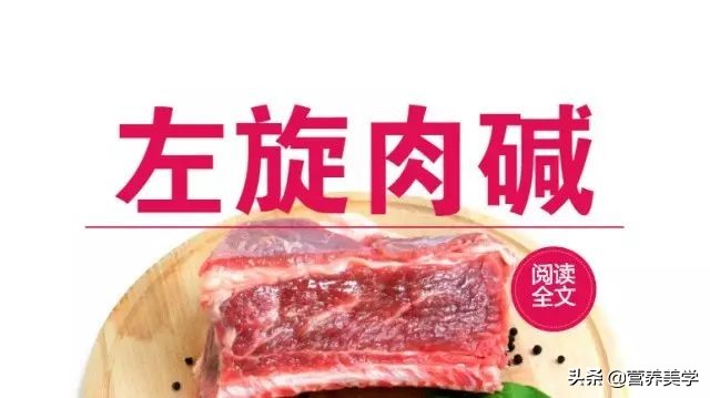 左旋肉碱咖啡作用与功效副作用,诺特兰德左旋肉碱的作用与功效