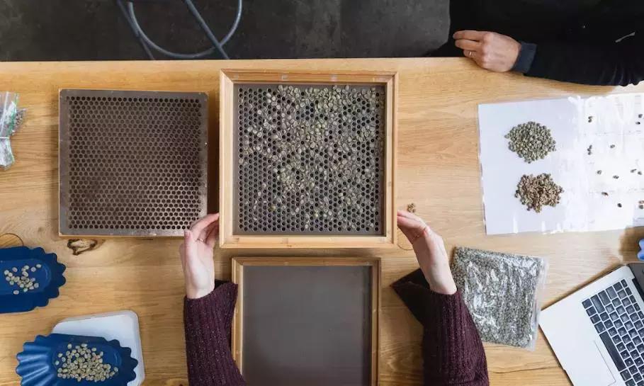 twoshot是什么咖啡,two到底是什么