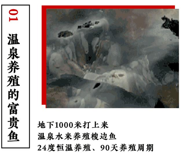 特色8种口味锅底,最好吃的十种锅底