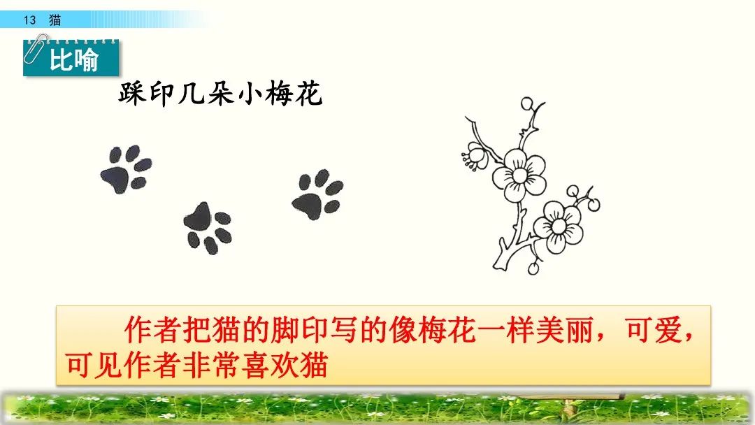 四年级下册语文13课猫课文解析,部编版四年级下册13猫教学视频