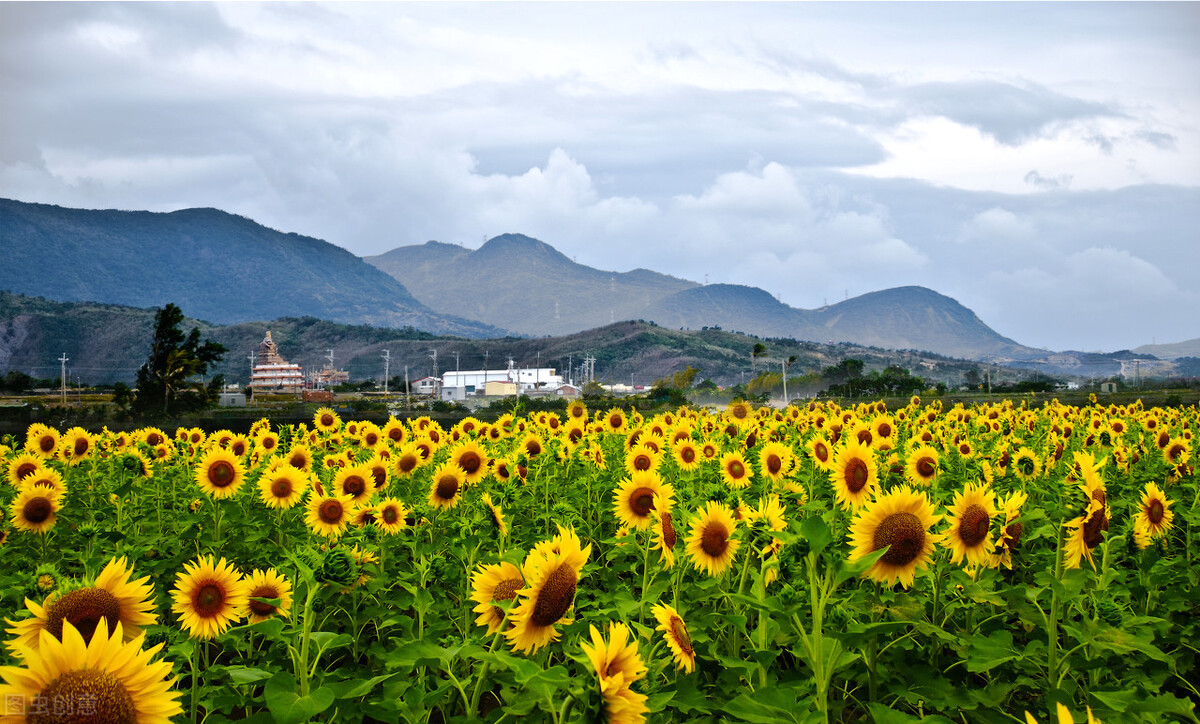 你还记得陪你走过三年的朋友吗,你还记得自己当年最好的朋友吗