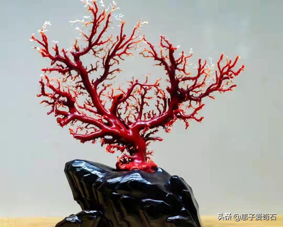 台湾省奇石玉石一览,中国四大奇石价值连城