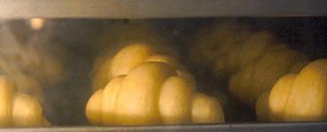 体育西蜂窝可颂，20+种口味！月售10w+