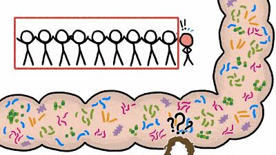 养好肠道只需一招,如何让肠道处于酸性状态