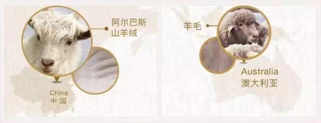 克什米尔羊毛跟羊绒的区别,100支高支羊毛和羊绒的区别