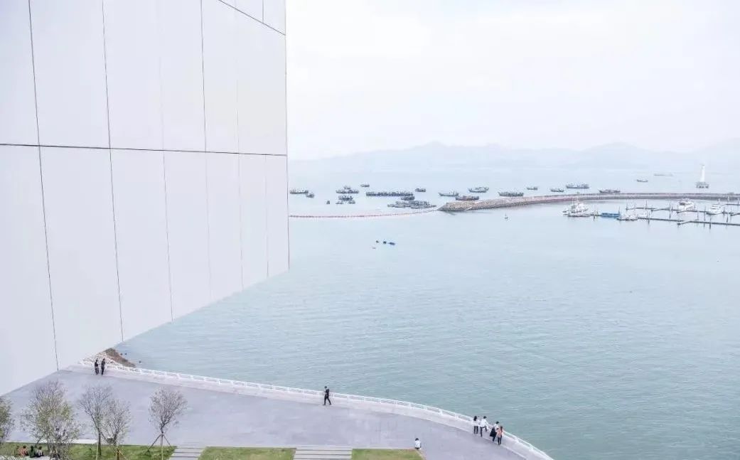 深圳灯光秀与武汉灯光秀,春光无限好深圳