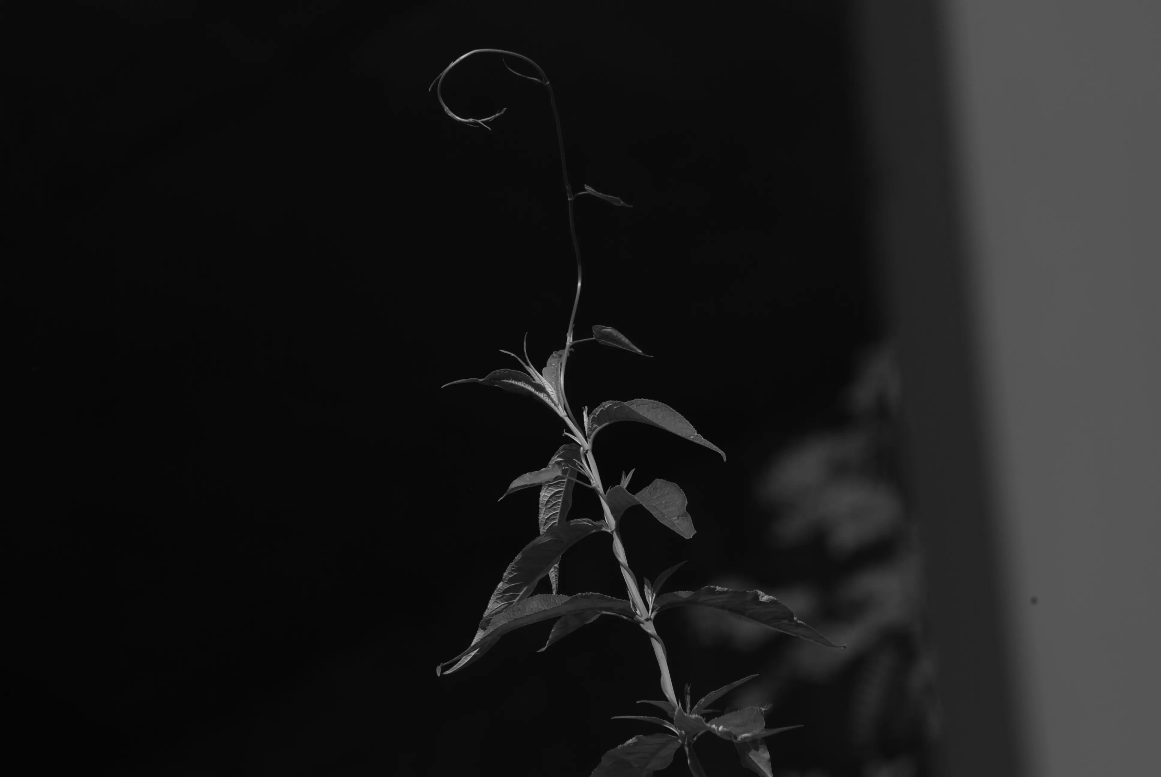 1000多的二手单反值得买吗,1000元左右二手单反全画幅