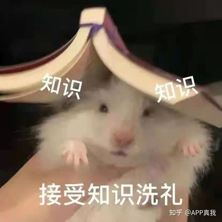 水杨酸棉片可以收缩毛孔吗,水杨酸真的可以收缩毛孔吗