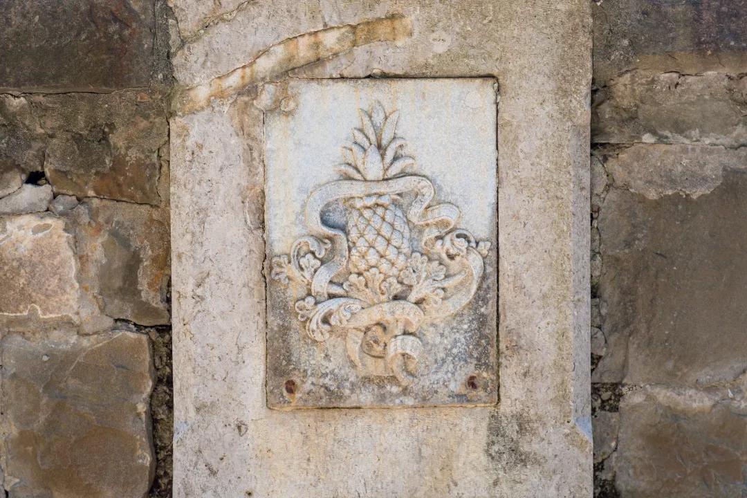 菠萝甜还是凤梨甜,不知道是菠萝还是凤梨