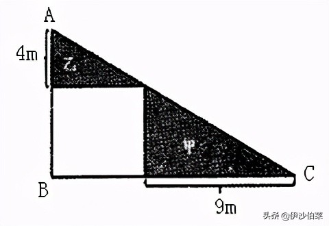 五年级上册数学多边形的面积答案,数学五年级上册多边形的面积课本