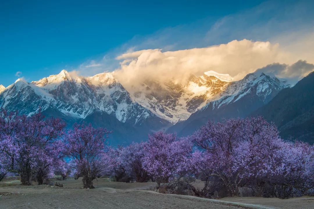 这座县城进去就要收费，门票210元却游客不断，你猜到是哪了吗