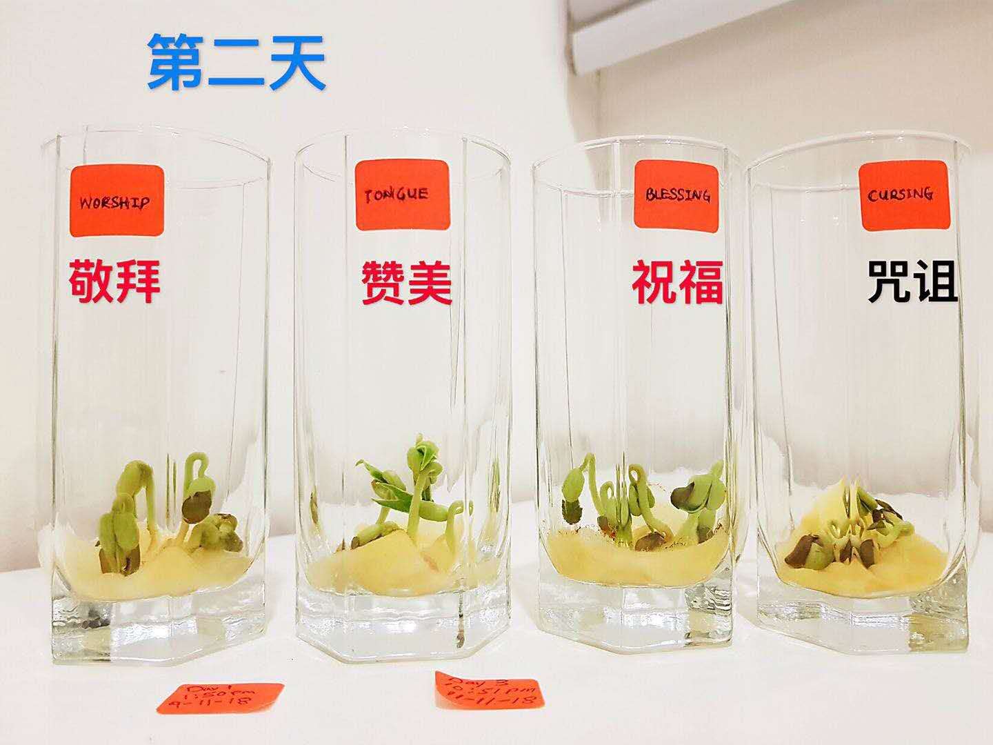 零极限四句话背后原理,零极限4句话