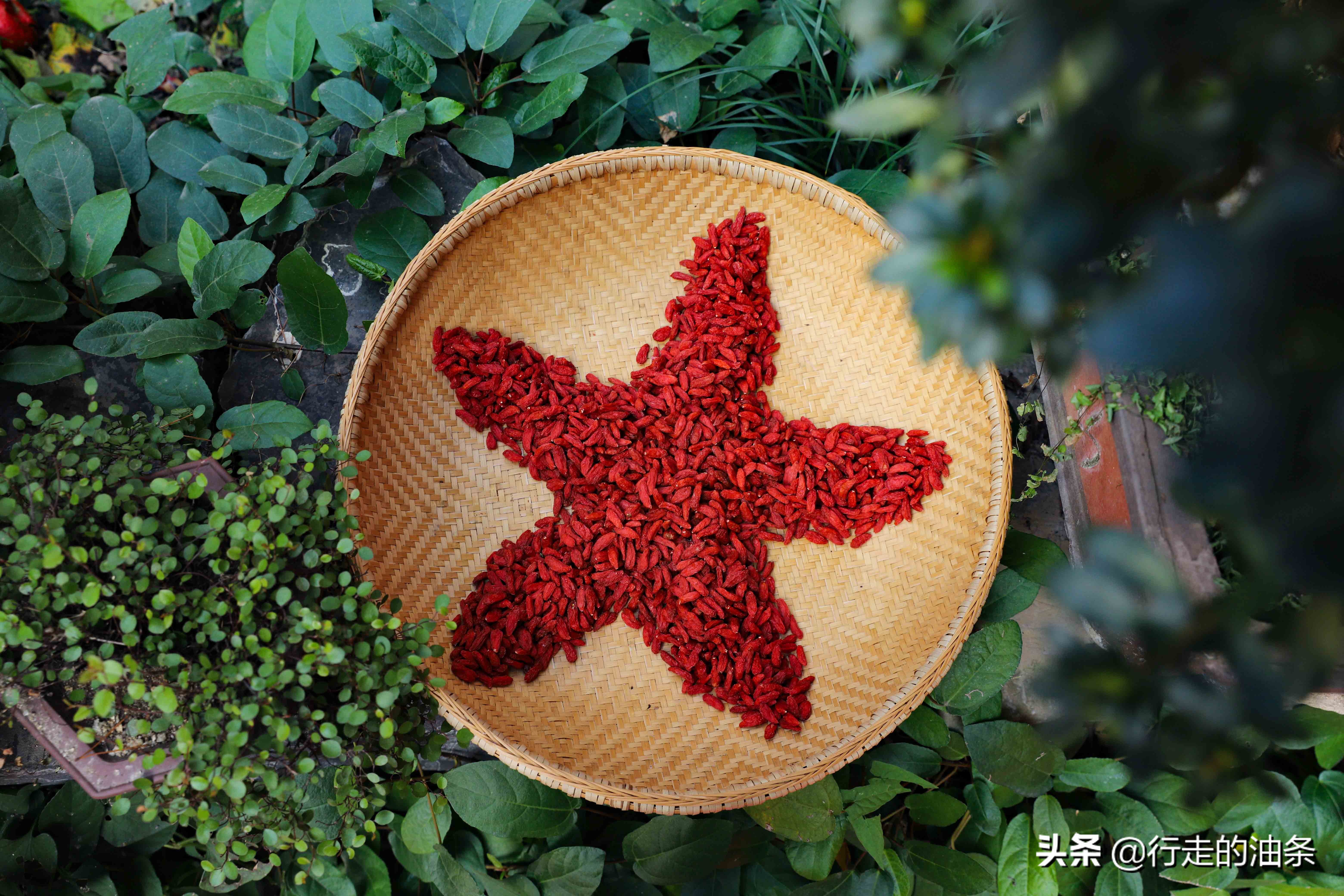 三峡大坝屈原故里视频,屈原的故里三峡大坝