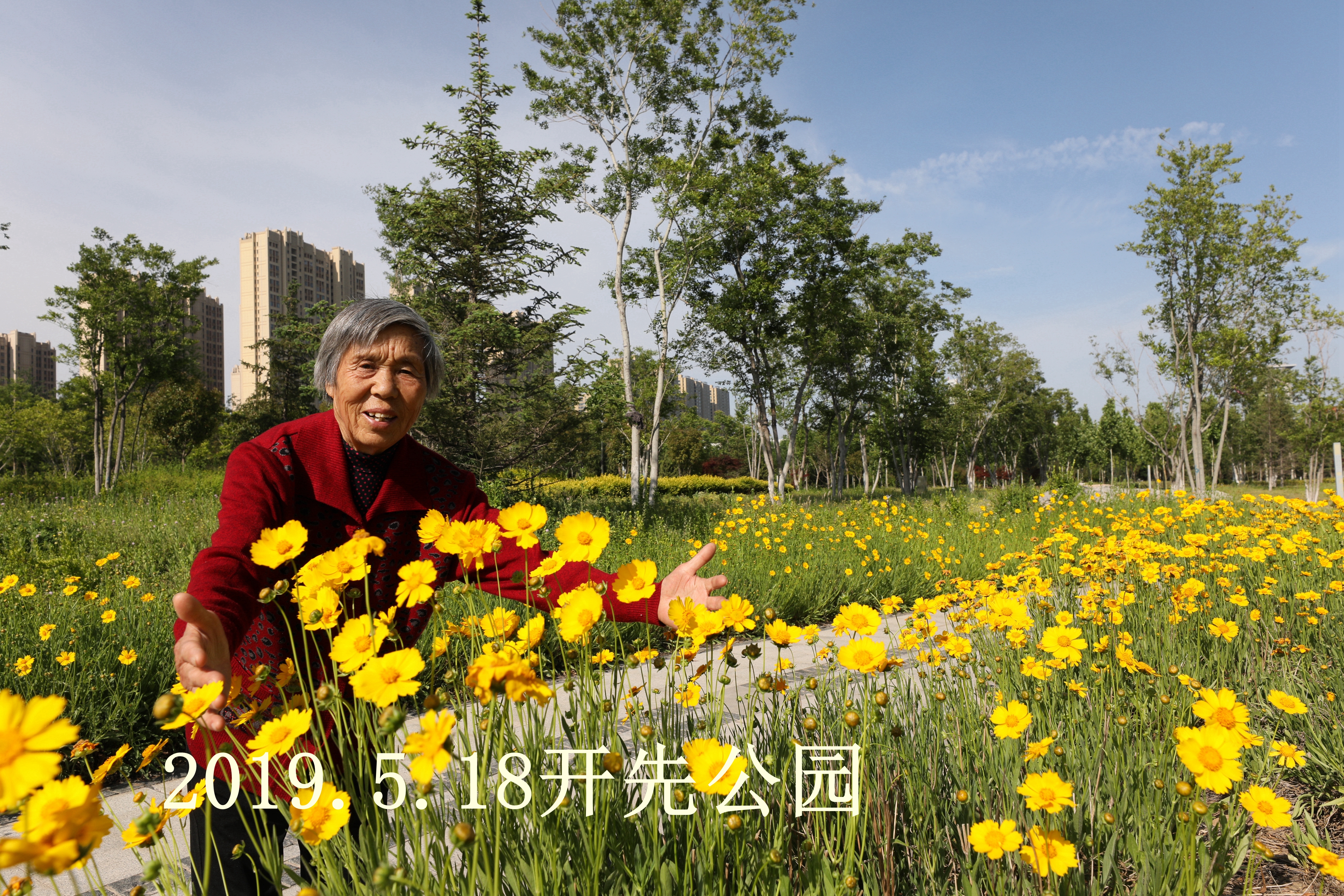 最美的她歌曲原唱,最美的歌献给我的母亲