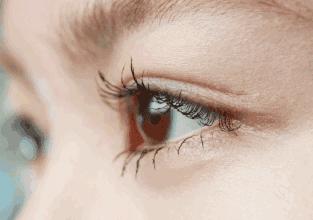 郎朗妻子吉娜身高不输明星,郎朗妻子吉娜被网友称身材好又美