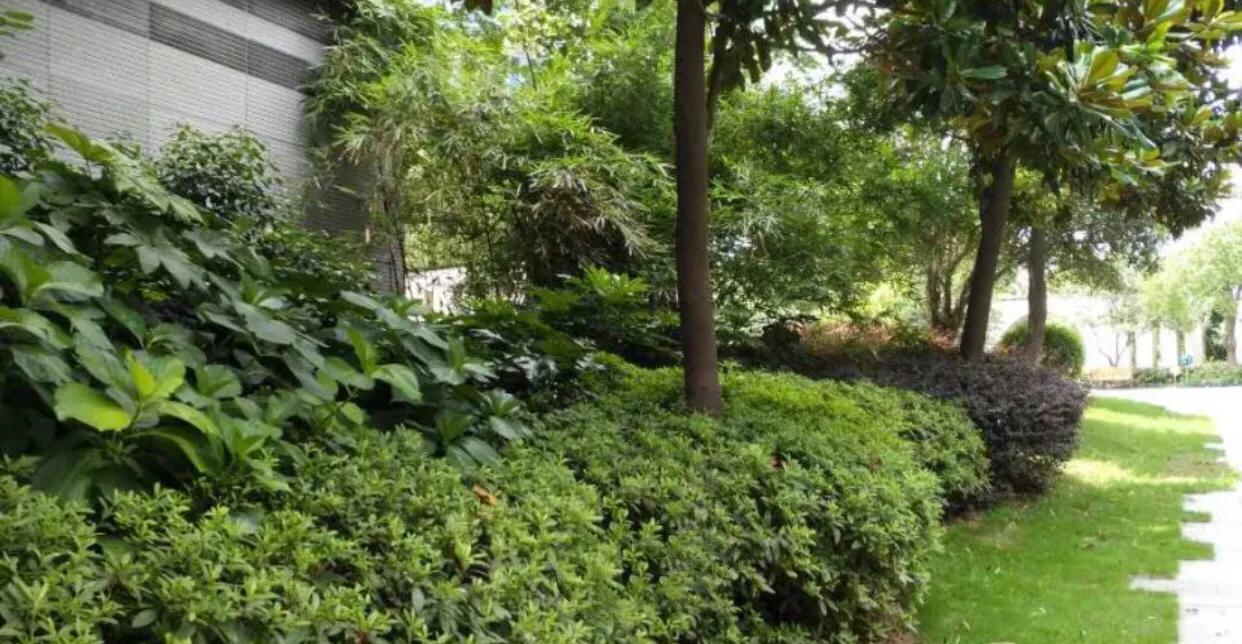 虚荣加冲动买房的后果,虚荣攀比的后果