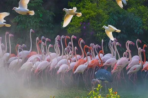 先去广州长隆再去珠海长隆攻略,带小朋友来珠海长隆两天一晚攻略