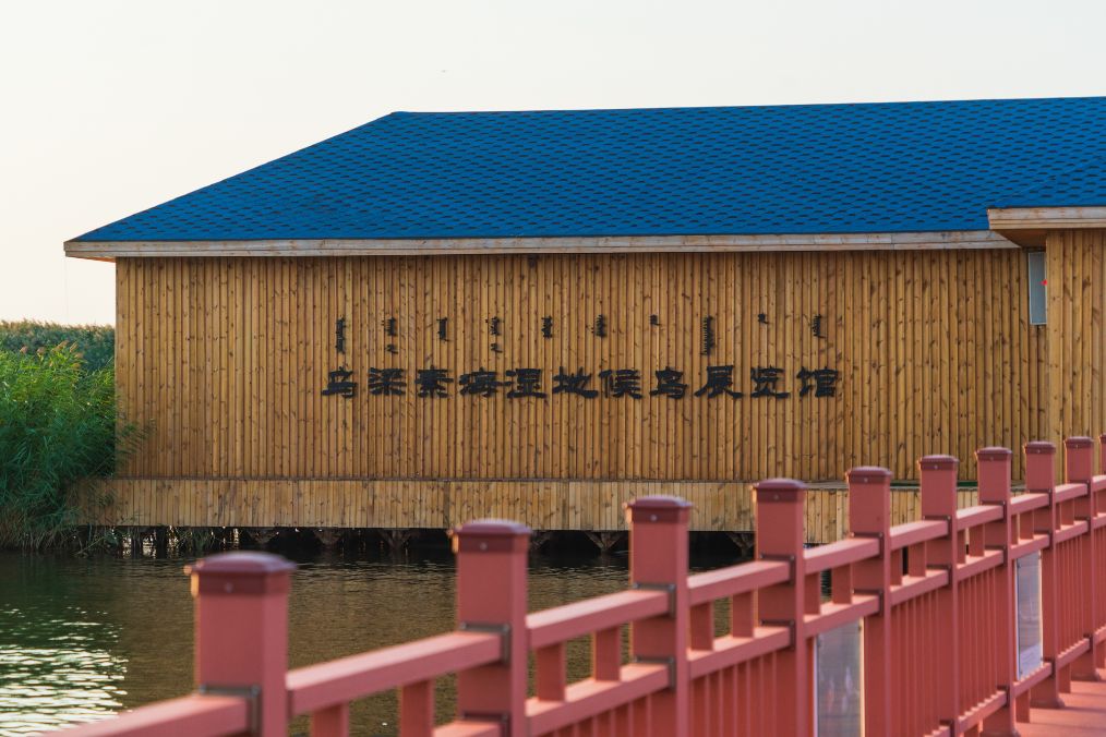 她是滔滔千里黄河的宠儿,阴山之下、河套之上的掌上明珠