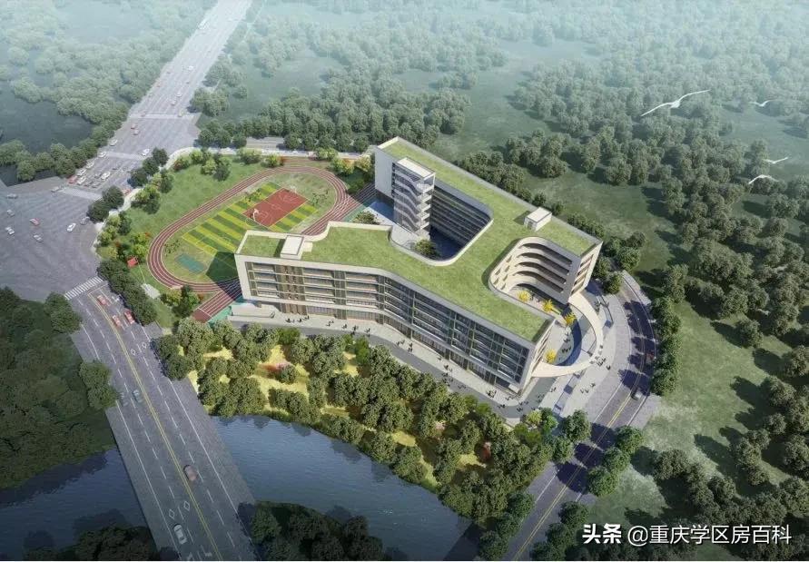 九龙坡区示范小学名单,九龙坡区新规划的小学