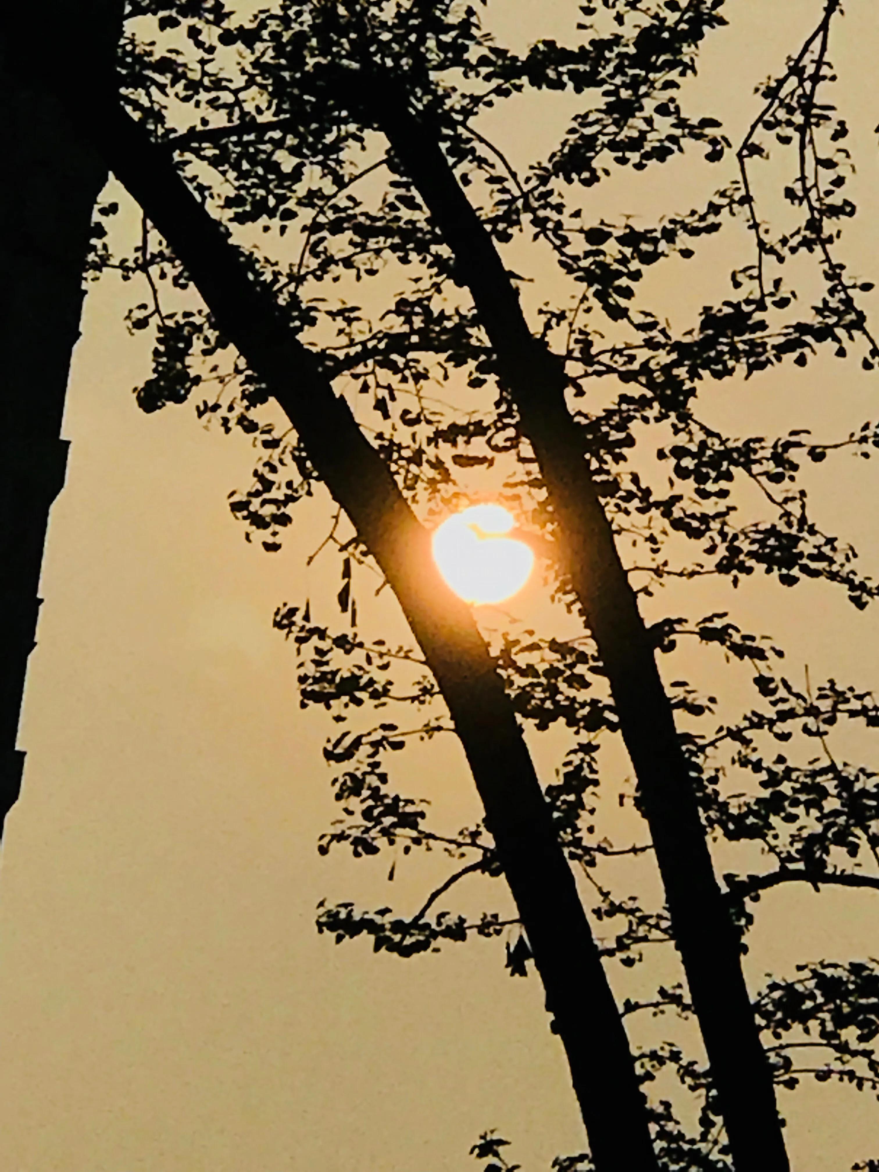 天长地久的梦想,天长地久的感言