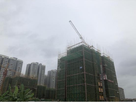 看房日记合集,看房日记视频