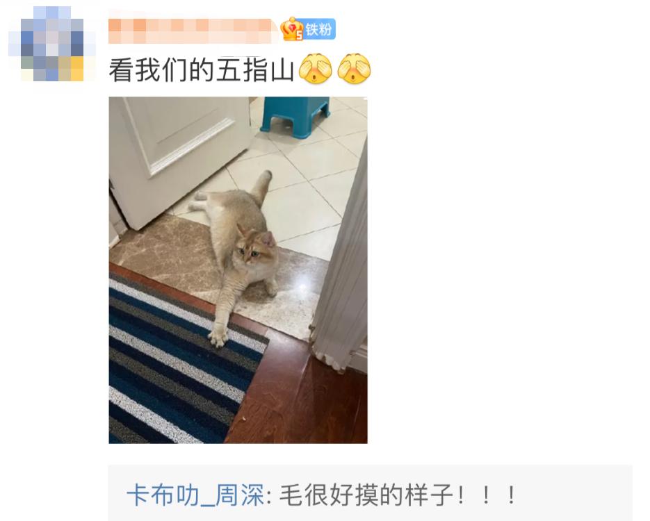 当年凭一首歌爆红的男星,最被低估的一个男歌手