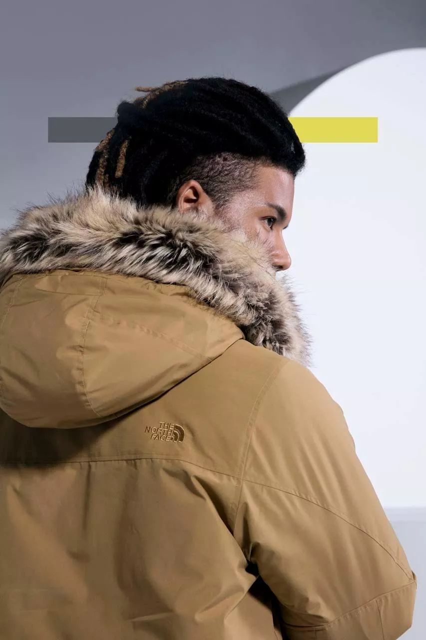 thenorthface20周年款,thenorthface19fw日版