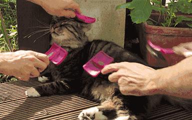 为什么有女朋友了还会出去玩,为啥有女朋友还打游戏