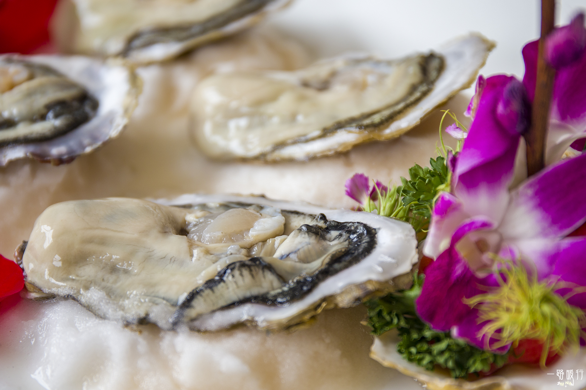 乳山冬季海蛎子,乳山海边海蛎子