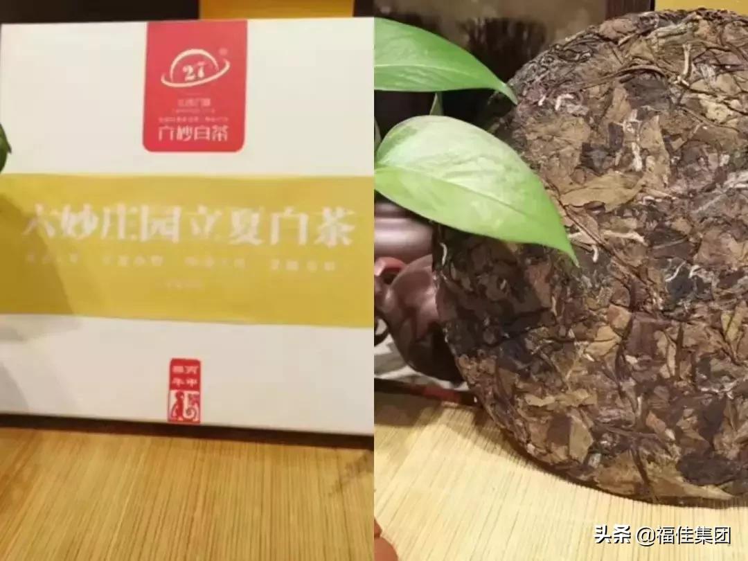 大连新天地|福康茶城，13周年庆典，全场3折起