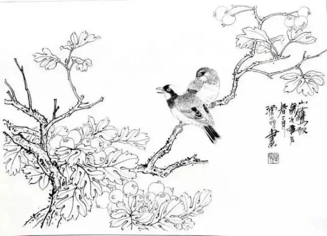 分享几组简单实用的写意花鸟画法,国画教程花鸟基本画法值得珍藏