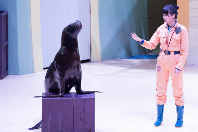 珠海长隆海洋王国全面游玩攻略,珠海长隆海洋王国游玩攻略和价格