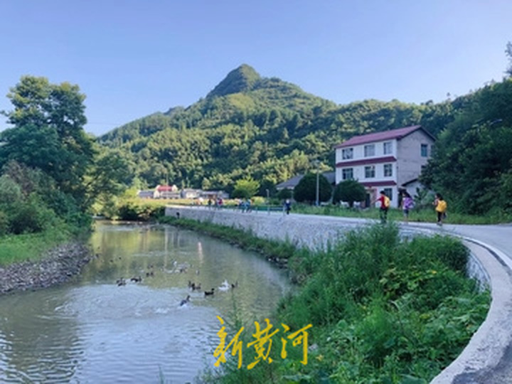 7个娃去张家界夏令营遇疫情,7个娃去夏令营遇疫情被滞留