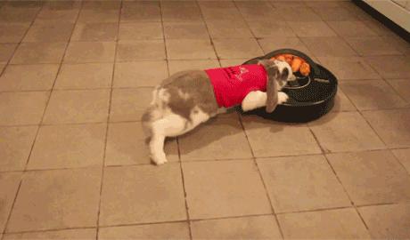 智能扫地机器人好不好主要看什么,智能家用扫地机器人好不好啊