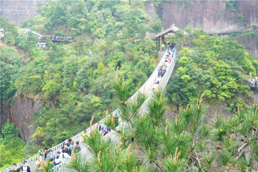 浙江有一个神奇山,浙江山里蝌蚪