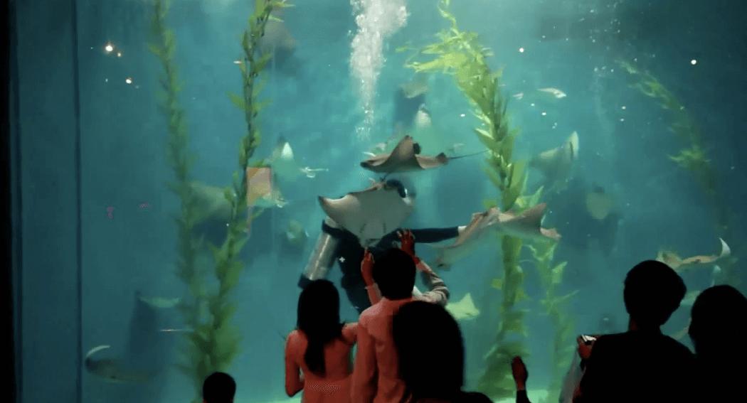 上海魔都有哪些景点,魔都上海最值得去的十个景点