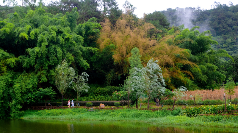 广东最没存在感的城市云浮,广东云浮是什么样的城市