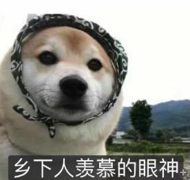 一段故事背后的心酸和委屈,一段心酸的故事