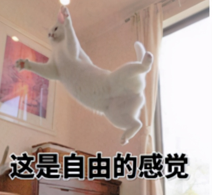 抢BOSS、领好礼、放烟花！《光明大陆》4周年为何如此火爆？