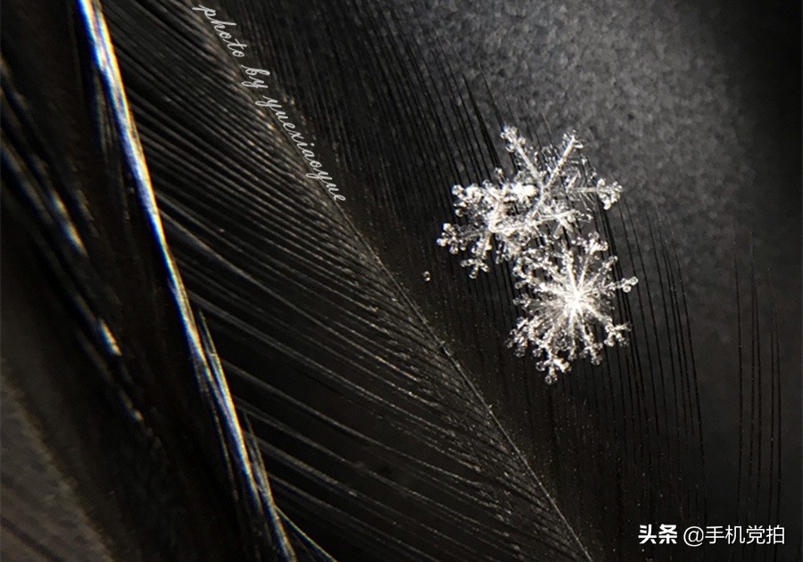 拍摄20倍雪花微距的教程,下雪天怎么拍出唯美视频