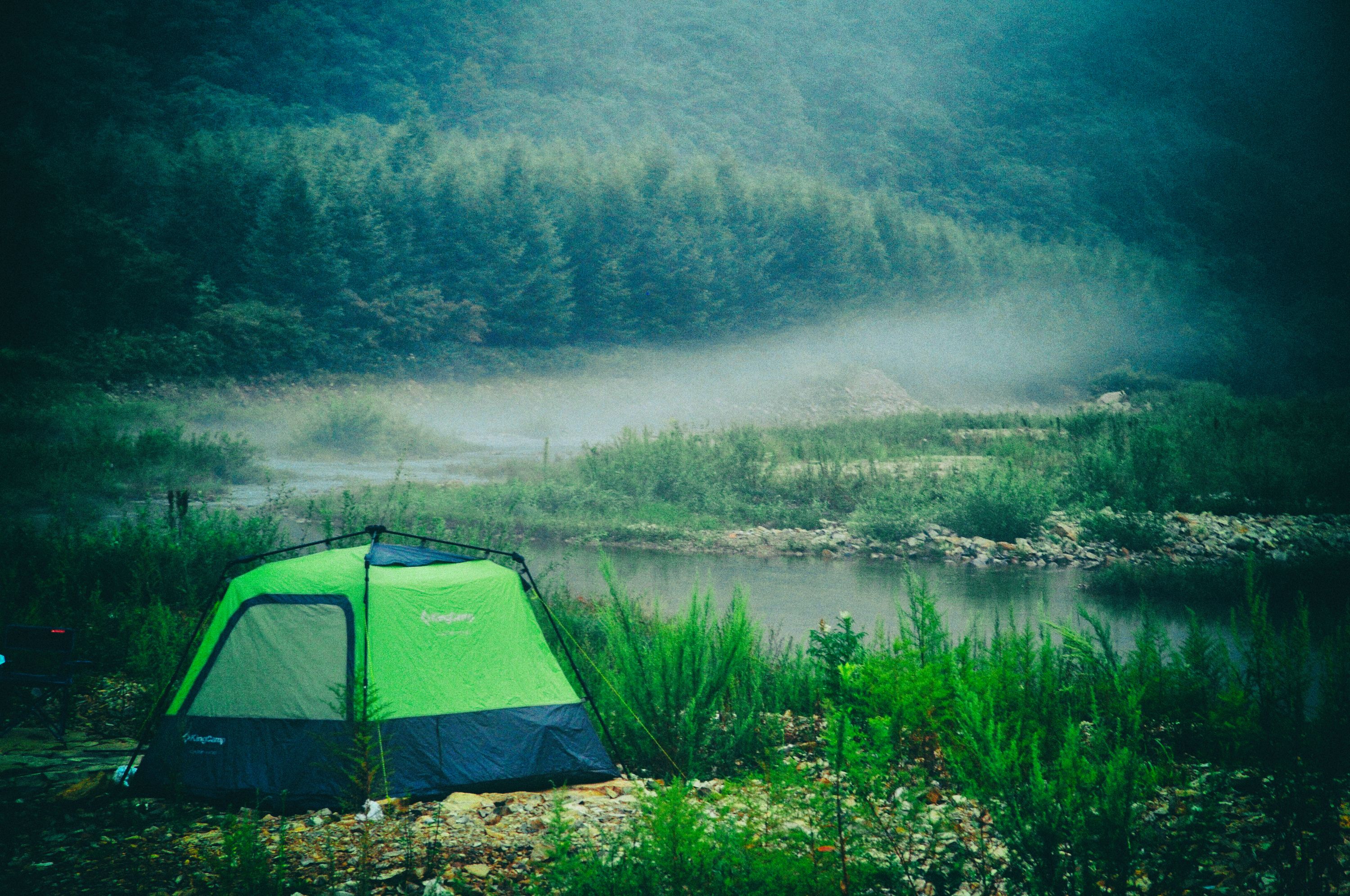 我的旅行群几百人，85%女性、我是群主，说说群里的那些奇葩事儿